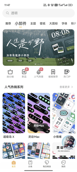 小米主题国际服